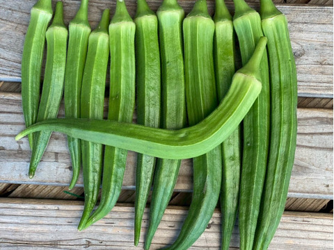 今夜は夏野菜カレーに決まり！夏野菜６品目セット　１人前