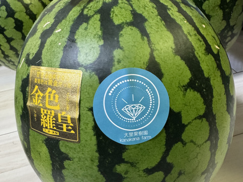 【雅】糖度13-17以上【金色羅皇】『大里果樹園のスイカ』4Ｌ-5Ｌ