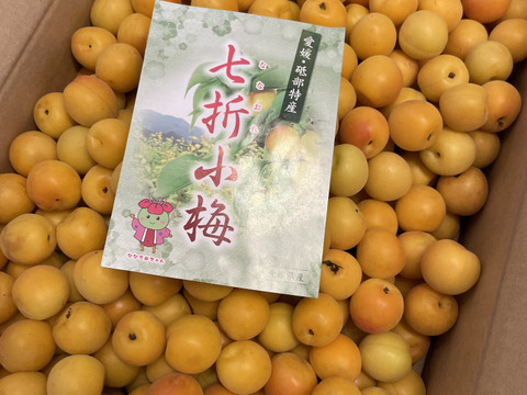徳島県産小梅七折　3Lサイズ 七折小梅3L 七折産5kg常温陸送便：愛媛県産の七折｜食べチョク｜産地