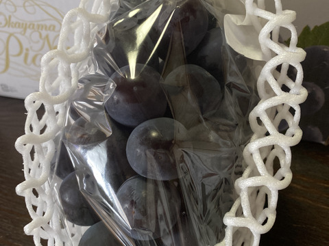 甘すぎて食べ過ぎる！ぶどうの定番岡山県産ピオーネ（3〜4房入）