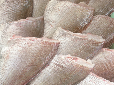 【色々あって特価です】簡単調理でキッチン綺麗！タイドレス２尾入１P500g×３