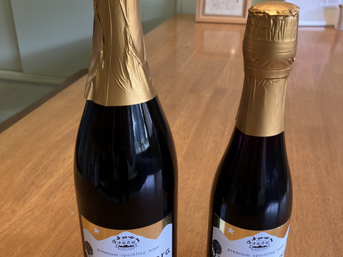 国産ブラックベリースパークリングワイン375ml
