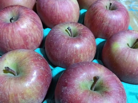 まさにTheりんごの味！葉取らずふじ食べやすい中小玉3kg箱