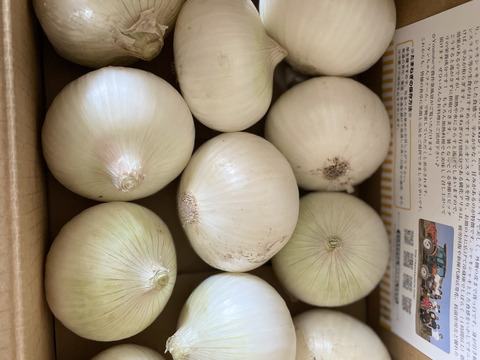 お陰様でリピーター様多数！】淡路島玉ねぎ「晩生種」3kg 特別栽培  