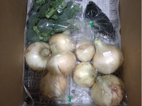 淡路島レタス、6玉