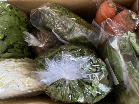 野菜セットＳサイズ（７品）【農薬・化学肥料・動物性堆肥｜不使用】