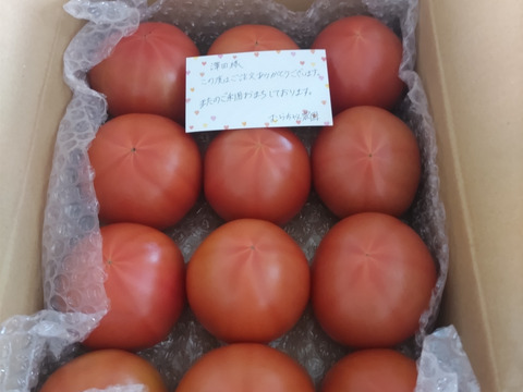 昔ながらのトマト🍅80サイズ箱詰め(Ｌ玉)