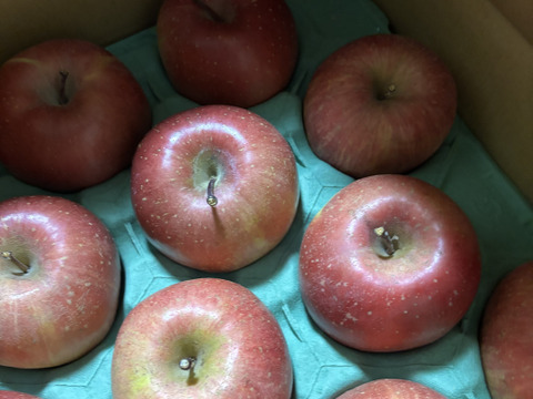 傷無し★味濃い甘いｻﾝふじ★無肥料.農薬節約30%〜.除草剤.摘果剤.摘葉剤不使用★【5kg箱】
玉数指定不可/予約販売開始！/贈答用/家庭用/りんご【冬ギフト】