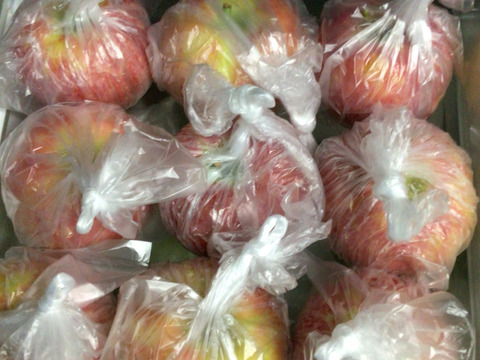 発送中🍎【人気上昇中 幻の夏りんご🍎】シナノリップ3キロ箱 6玉〜15玉サイズ 商品ID41076 長野県 信州 安曇野 リンゴ 幻 幻のリンゴ 予約 希少 旬