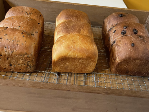 【小麦農家の朝食パン】バラエティ食パン４本！週１パンセット