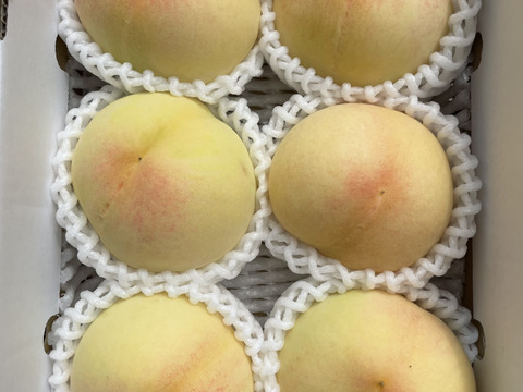 家庭用】清水白桃🍑【4～6玉入】1箱：岡山県産の白桃｜食べ