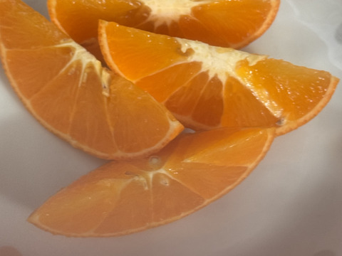 べにばえ（無農、ノーワックス）