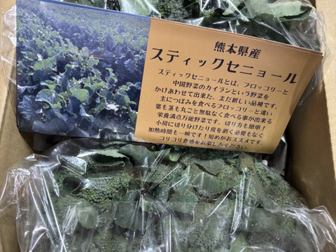 2kgスティックセニョール（茎ブロッコリー）