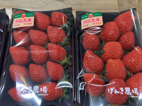 【最高金賞コンビ】「あまりん」「べにたま」贅沢ないちご食べ比べ♪