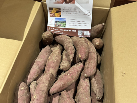 はるか 2L 箱込み約10キロ×２箱 はるか 2L 約10キロ 皮キズ×2箱 はるか 2L 約10キロ 皮