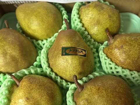 農薬節減!! [特秀]こだわりラフランス 山形県 2kg 6〜7玉 ギフトにも　[冬ギフト]