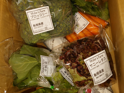【有機JAS認証取得】🌱安心島の旬の野菜4〜6種類セット🥬🥕🥦✨🌱Organic Vegetables set