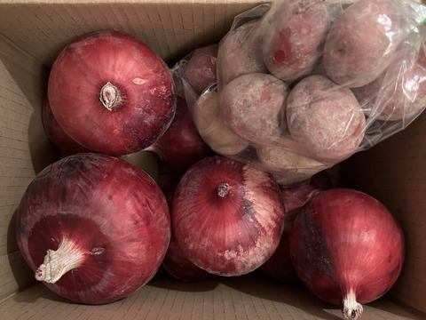 淡路島産たまねぎ赤【予約販売開始　数量限定】自然栽培★希少★固定種 在来種専門農家
（ 淡路産Awaji369farmからお届け）農薬不使用　無肥料栽培　内容【淡路島産　固定種　赤玉葱】2キロ