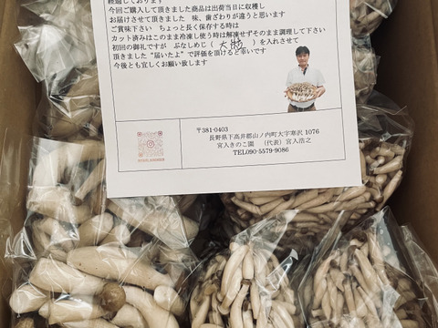朝採り！④"ぶなしめじバラエティーパック!!"