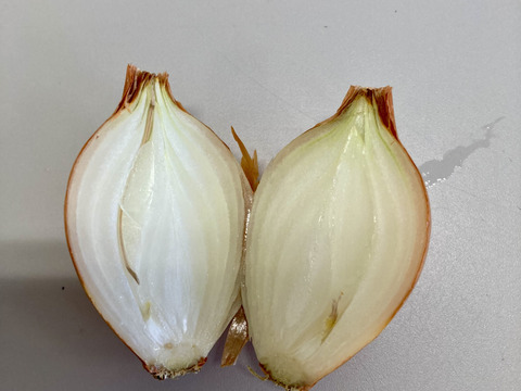 農薬肥料不使用！！【バターナッツ】【小ぶり玉ねぎ】【にんにくホワイト六片】野菜セット