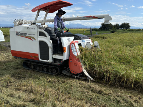 新潟県産純米コシヒカリ【令和7年産 新米🌾】 枝豆の郷から産地直送【お歳暮も承ります】