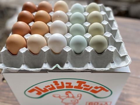 まるで宝石箱！カラフル卵詰め合わせセット54個