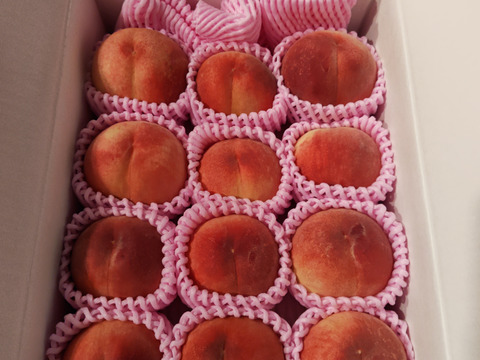 樹上完熟はつひめ（桃）朝どり直送便3kg(10〜13玉入り)