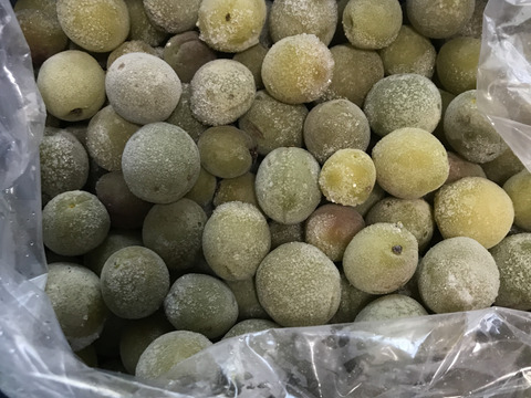 梅シロップで夏を乗り越えよう！冷凍・自然栽培小梅(シロップ用)2kg