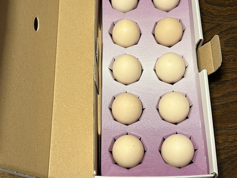 不老不死といわれる
烏骨鶏のたまご10個入り