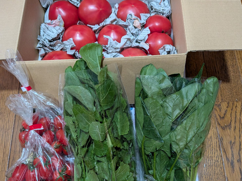 【アワード福袋】栄ちゃんファームの福袋。
人気の栄ちゃんトマトとプチトマト（アイコ）が入った
トマト尽くしのセットに季節の葉物野菜のおまけ付き！