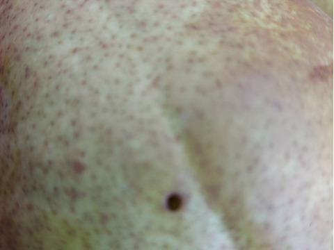 10月10日頃から発送開始！超スーパー訳あり規格外ラフランス10kバラ詰箱込11キロ