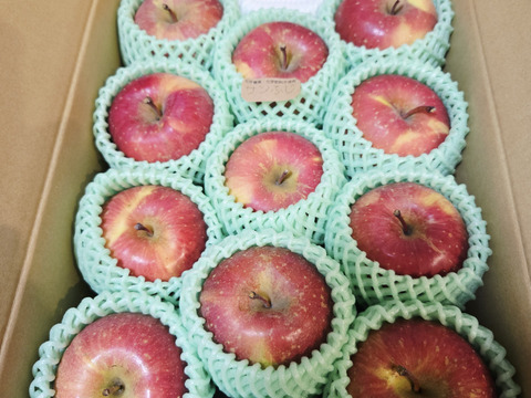 ☆化学農薬不使用☆サンふじ８〜１２玉