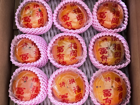 【ご家庭用（『小玉！』・少々キズあり）】冷蔵柿（富有柿）15個前後入り　福岡県久留米市田主丸町産