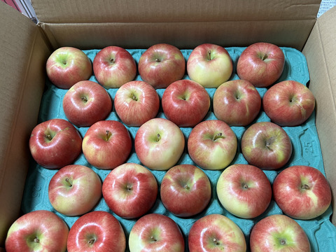 残り5ケース🍎🏃‍♀️訳あり夏あかり5キロ箱 小玉品種 ～33玉サイズ 商品ID44913 長野県 信州 安曇野 リンゴ 幻 幻のリンゴ 予約 希少 旬