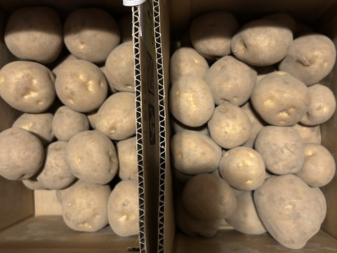 濃い味『とうや🥔』10kg 甘くてホクホク🎵 5kg×2箱セット送料節約！
