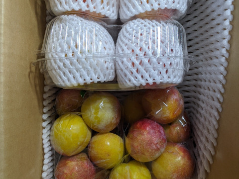 桃とスモモとブドウ