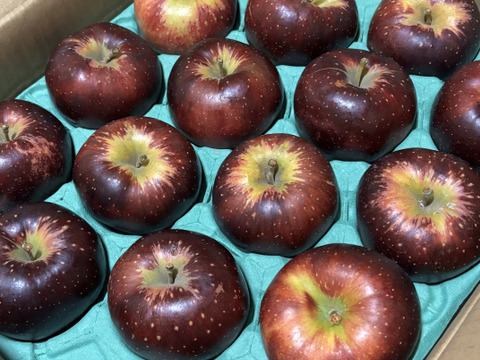 残り9ケース🍎【色も濃い味も濃い】秋映 5キロ箱 訳あり品 商品ID33051 長野県 信州 安曇野 リンゴ 幻 幻のリンゴ 予約 希少 旬