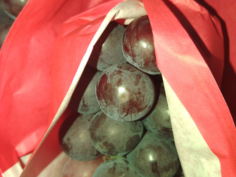 🍇朝採り🍇　1房500g超え果汁たっぷりのシャインマスカット(1.5kg・2～３房入り)