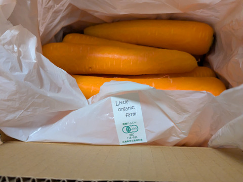 雪が積もる高原の寒さで甘くなった❄️有機JASニンジン🥕２．５ｋｇ