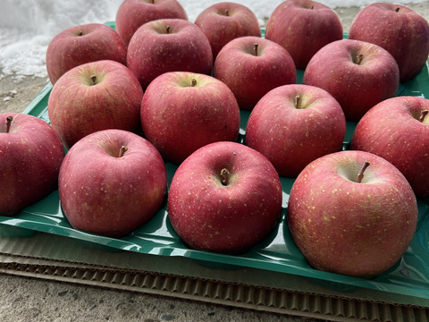 甘さと酸味が絶妙！青森県産サンふじ(訳あり)　約5kg 16個