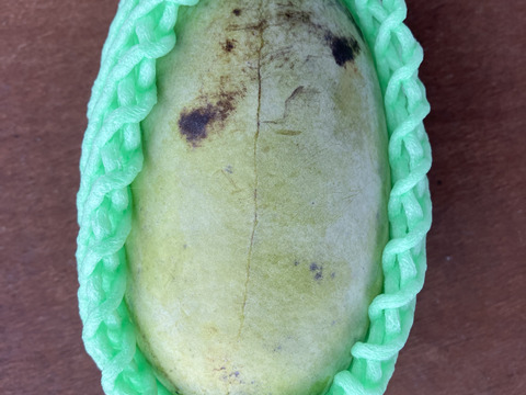 ※常温便【ポポー大玉350g以上を2玉入】