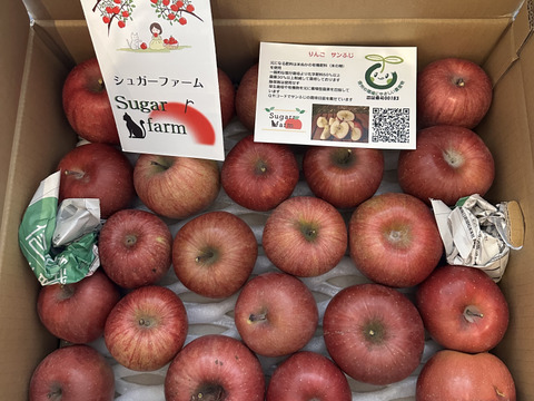 サンふじ（加工用）15ｋｇ