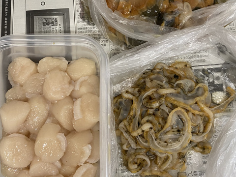 これが本物！漁師が喰うホタテ【３㎏】ヘラ付