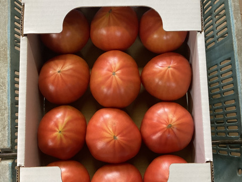 金丸山口トマト