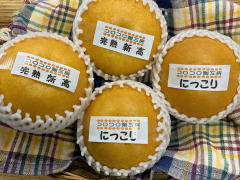 【秋の梨詰め合わせ🍐】新高とにっこり贈答用約5kg✨樹上完熟の甘くとってもフルーティーな新高と甘くてとってもジューシーなにっこり梨の食べ比べ‼️お届け後の日持ちを良くするためクール便で最速発送🚚
