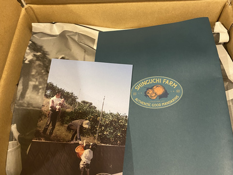 柑橘の大トロ【せとか 2kg】～とろける濃厚果実～ 家庭用