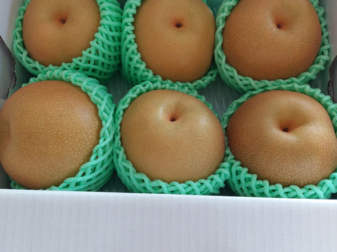 まるせい果樹園の梨【おまかせ】2kg箱　(5～12玉入り)　n1
