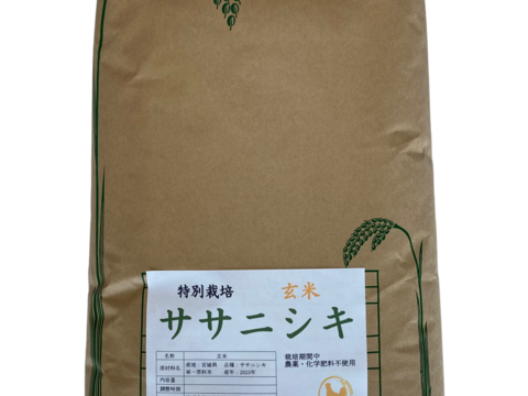 【新米】令和5年 ササニシキ 玄米10kg～農薬・化学肥料不使用