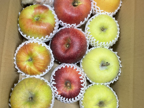 長男5歳、次男2歳記念‼️赤果肉りんご入り【宝石箱】農薬50％減　最低3品種5㎏