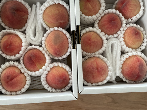 【100円🉐】温室桃「日川白鳳」計1.8kg(10〜16個入り)